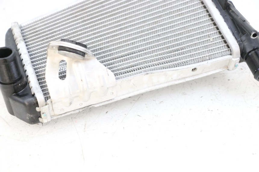 photo de RADIADOR ESQUERDO BMW R GS 1250 (2021 - 2024) - Detalhes característicos