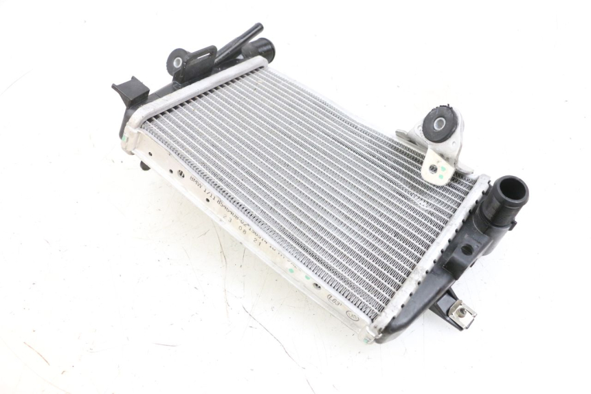 photo de RADIADOR ESQUERDO BMW R GS 1250 (2021 - 2024) - Zoom do estado de desgaste