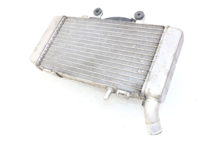 photo de RADIADOR ESQUERDO HONDA VFR FI RC46 800 (1998 - 2001) - Zoom do estado de desgaste