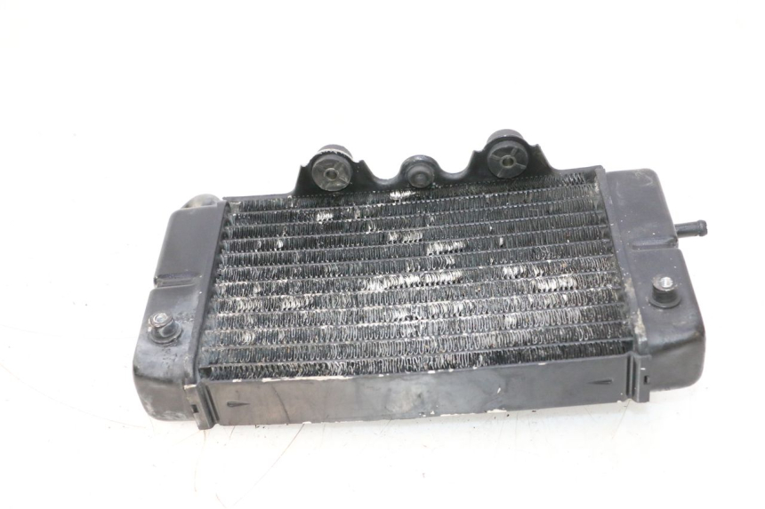 photo de RADIADOR ESQUERDO HONDA XRV AFRICA TWIN 750 (1990 - 1992) - Zoom do estado de desgaste