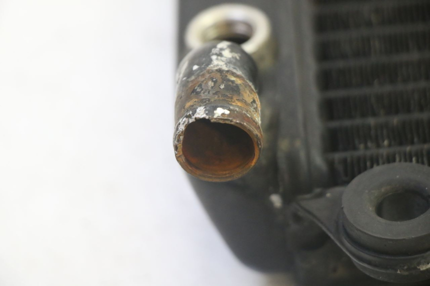 photo de RADIADOR KAWASAKI GPX R WARBIRD 600 (1988 - 1993) - Ampliação técnica
