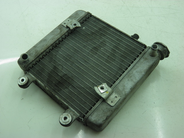 photo de RADIADOR HONDA FES S-WING SWING 125 (2007 - 2015) - Zoom do estado de desgaste