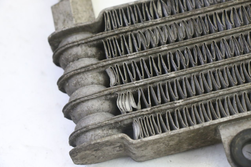 photo de RADIADOR DE ÓLEO HYOSUNG GV AQUILA 125 (2000 - 2009) - Estado da superfície
