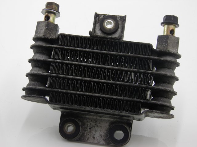 photo de RADIADOR DE ÓLEO DAELIM S2 125 (2008) - Detalhe da peça