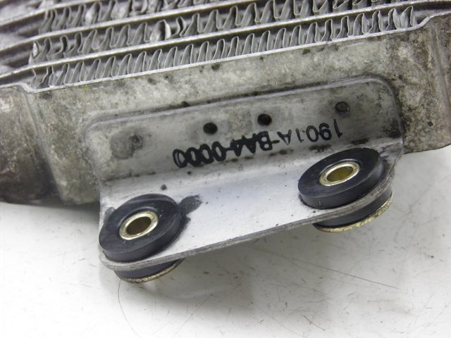 photo de RADIADOR DE ÓLEO DAELIM VJ ROADWIN 125 (2008 - 2010) - Outro ângulo de visão