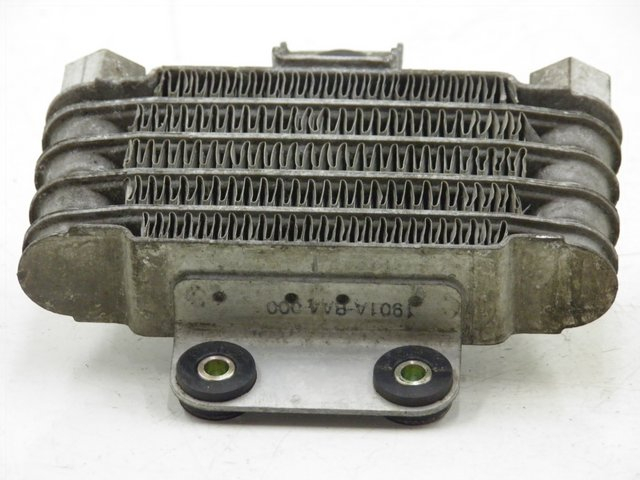 photo de RADIADOR DE ÓLEO DAELIM VJ ROADWIN 125 (2008 - 2010) - Outro ângulo de visão
