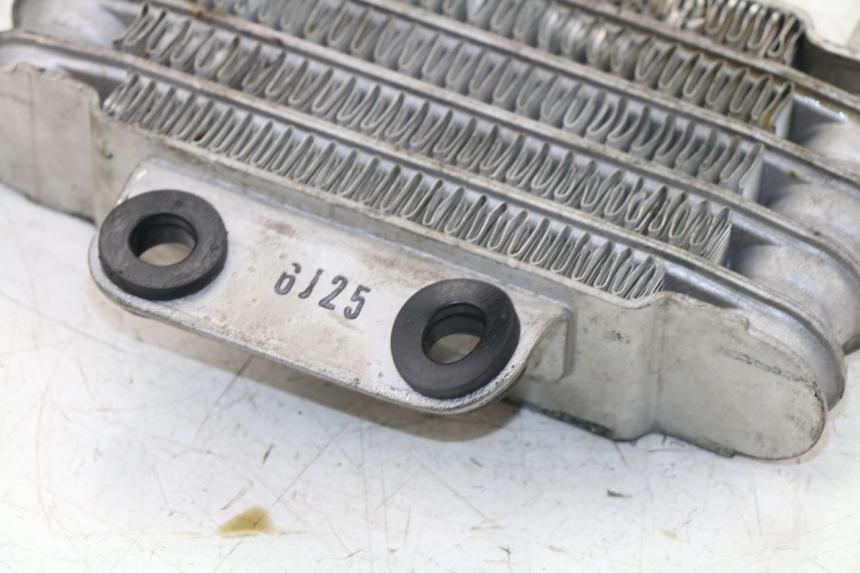 photo de RADIADOR DE ÓLEO DAELIM VJ ROADWIN 125 (2004 - 2007) - Detalhe da peça