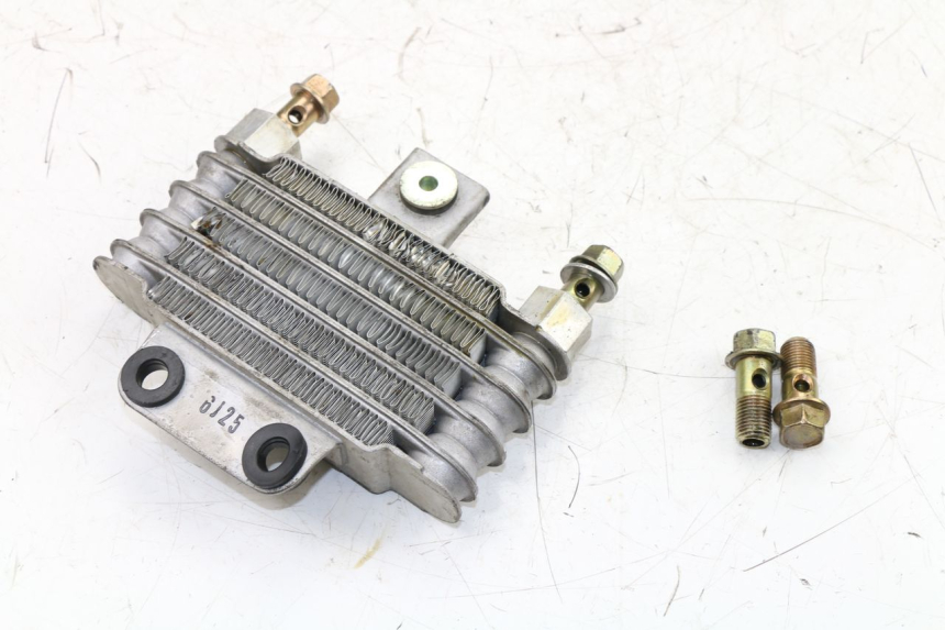 photo de RADIADOR DE ÓLEO DAELIM VJ ROADWIN 125 (2004 - 2007) - Ampliação técnica