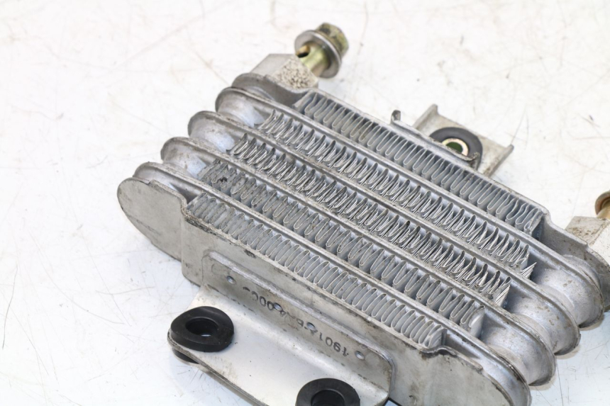 photo de RADIADOR DE ÓLEO DAELIM VJ ROADWIN 125 (2004 - 2007) - Peça verificada