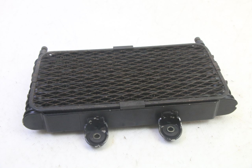 photo de RADIADOR DE ÓLEO SUZUKI GSF N BANDIT 600 (1996 - 1999) - Zoom do estado de desgaste