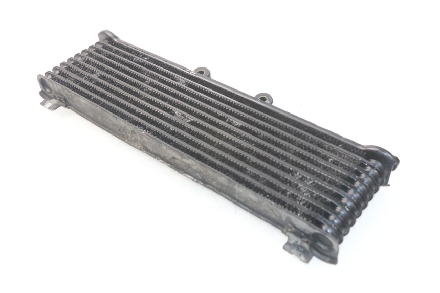 photo de RADIADOR DE ÓLEO SUZUKI GSX-F GSXF 600 (1998 - 2004) - Zoom do estado de desgaste