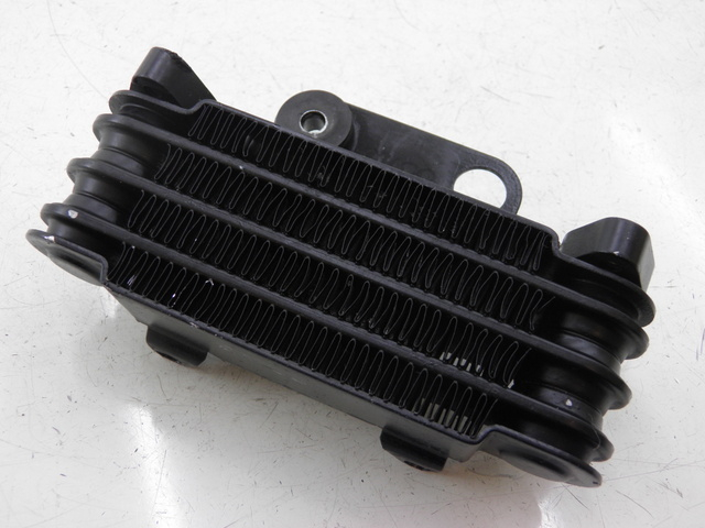 photo de RADIADOR DE ÓLEO KYMCO QUANNON NAKED 125 (2010) - Vista principal