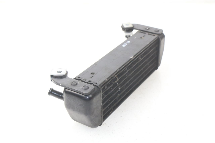 photo de RADIADOR DE ÓLEO BMW R GS 1150 (1999 - 2004) - Zoom do estado de desgaste