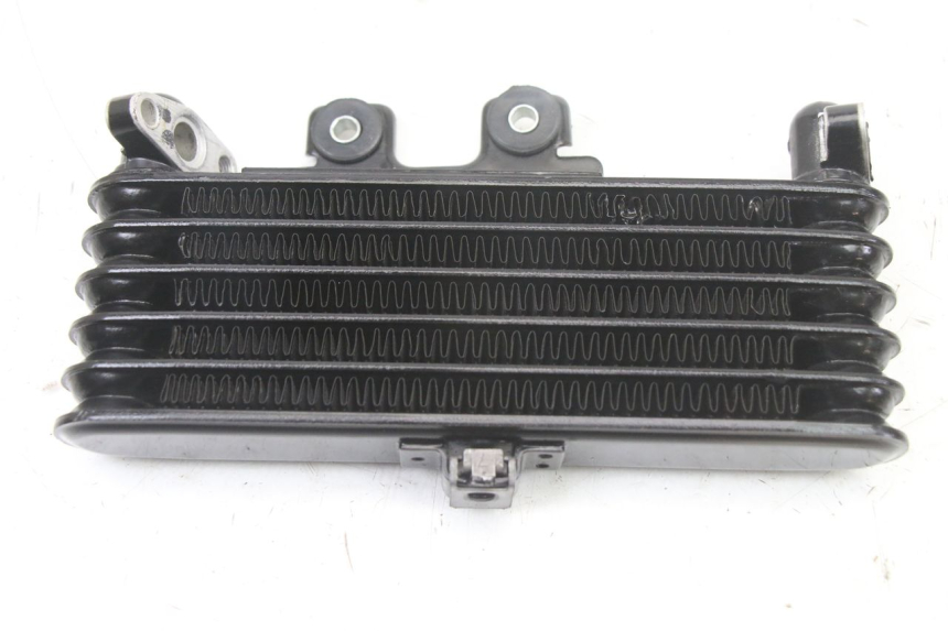 photo de RADIADOR DE ÓLEO ROYAL ENFIELD HYMALAYAN 410 (2016 - 2023) - Zoom do estado de desgaste