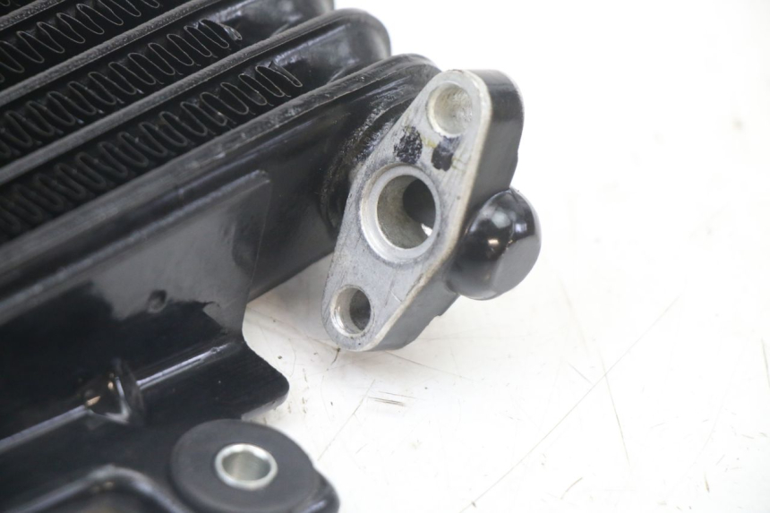 photo de RADIADOR DE ÓLEO ROYAL ENFIELD HYMALAYAN 410 (2016 - 2023) - Vista geral