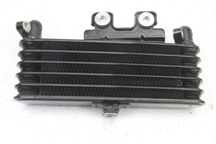 photo de RADIADOR DE ÓLEO ROYAL ENFIELD HYMALAYAN 410 (2016 - 2023) - Pontos de fixação