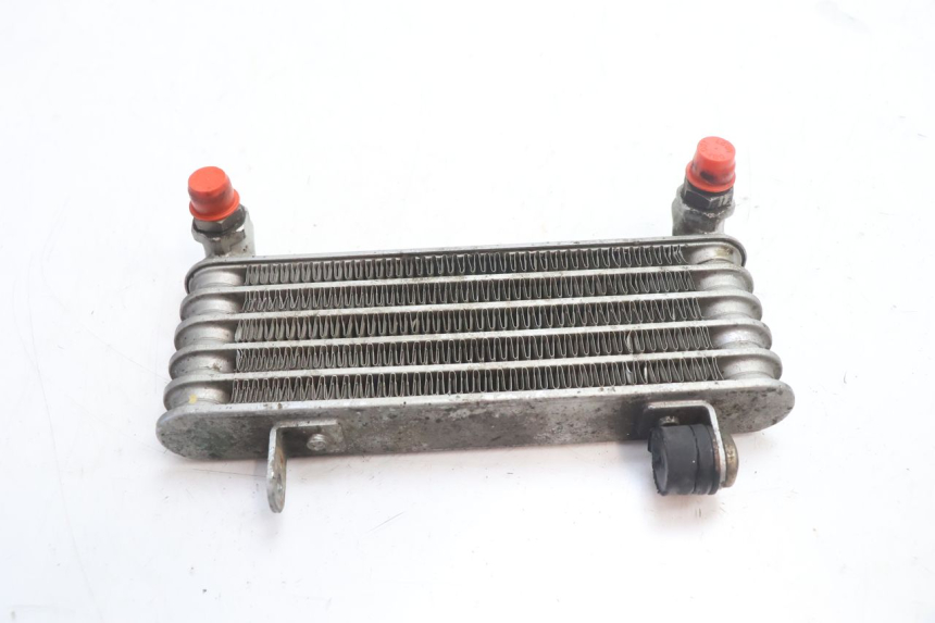 photo de RADIADOR DE ÓLEO DUCATI SS IE DS CARENEE 1000 (2002 - 2006) - Detalhe da peça