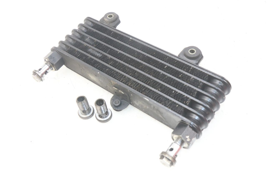 photo de RADIADOR DE ÓLEO SUZUKI TLS TL S 1000 (1997 - 2001) - Zoom do estado de desgaste