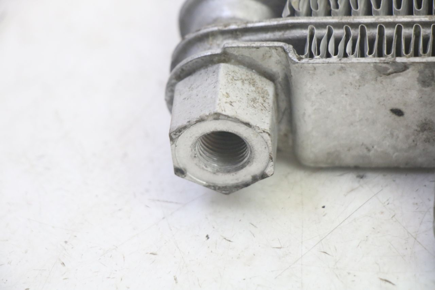 photo de RADIADOR DE ÓLEO DAELIM VJ ROADWIN FI 125 (2008 - 2017) - Ampliação técnica