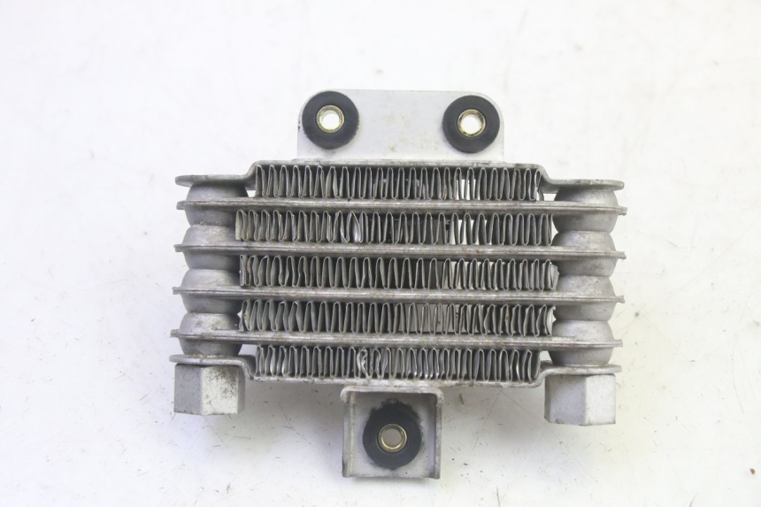 photo de RADIADOR DE ÓLEO DAELIM VJ ROADWIN FI 125 (2008 - 2017) - Pontos de fixação