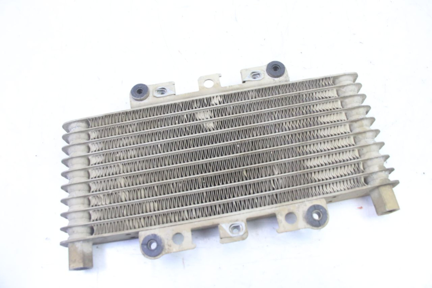 photo de RADIADOR DE ÓLEO YAMAHA YFM BRUIN 350 (2003 - 2009) - Vista geral