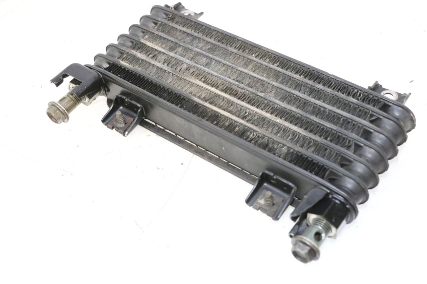 photo de RADIADOR DE ÓLEO KAWASAKI ZX-6R ZX6R 600 (1995 - 1997) - Zoom do estado de desgaste