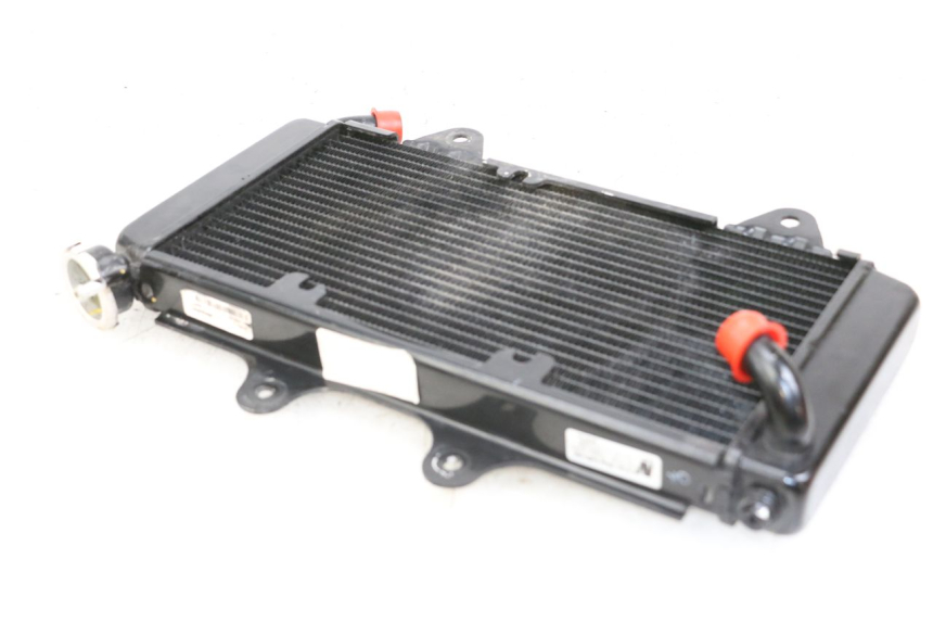 photo de RADIADOR HUSQVARNA SVARTPILEN 401 (2018 - 2023) - Vista geral