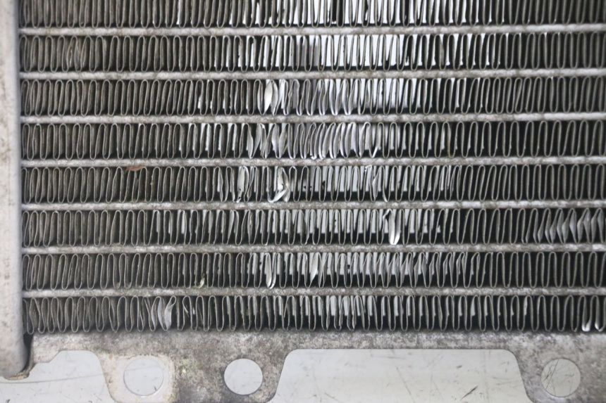 photo de RADIADOR PEUGEOT JET FORCE CARBU 50 (2003 - 2016) - Inspeção visual