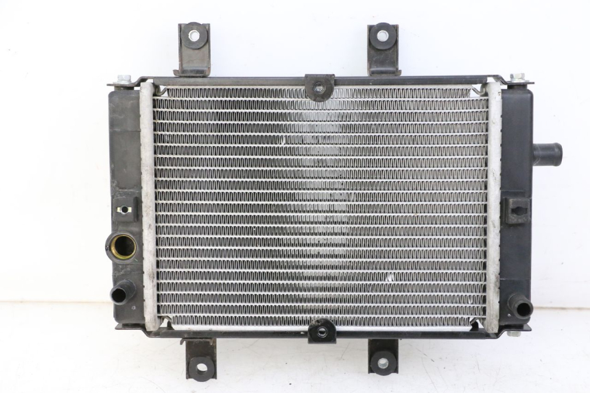 photo de RADIADOR SYM JOYMAX 125 (2010 - 2017) - Vista principal