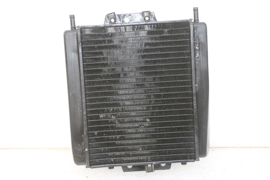 photo de RADIADOR PIAGGIO MP3 LT 300 (2010 - 2016) - Vista principal
