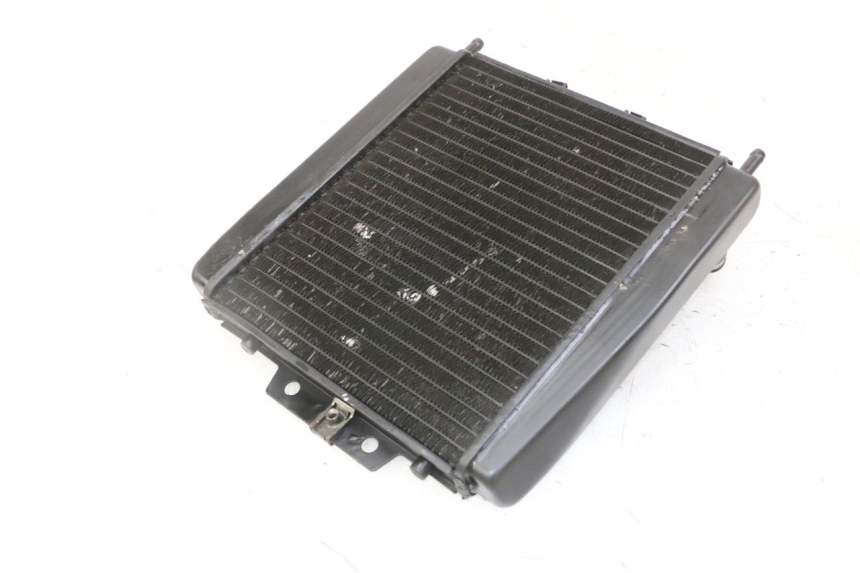 photo de RADIADOR PIAGGIO MP3 LT 300 (2010 - 2016) - Zoom do estado de desgaste