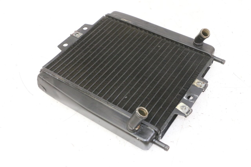 photo de RADIADOR PIAGGIO MP3 LT 300 (2010 - 2016) - Vista geral
