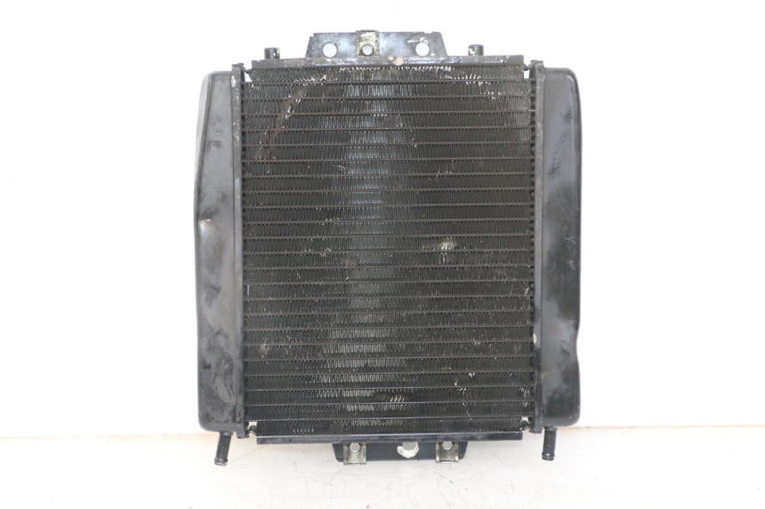 photo de RADIADOR PIAGGIO MP3 LT 400 (2007 - 2012) - Vista principal