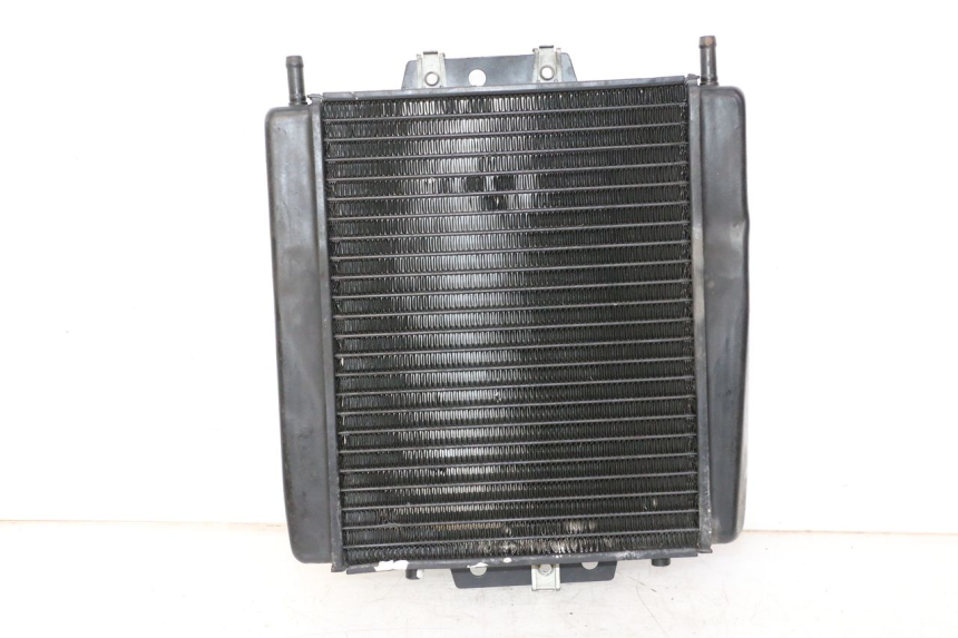 photo de RADIADOR PIAGGIO MP3 LT 300 (2010 - 2016) - Vista principal
