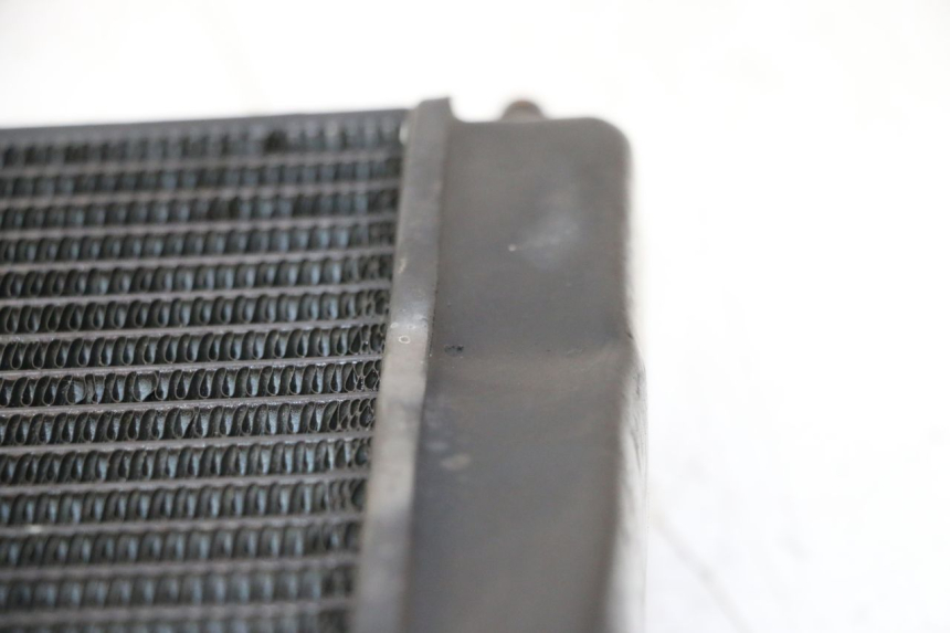 photo de RADIADOR PIAGGIO MP3 LT 300 (2010 - 2016) - Detalhe da peça