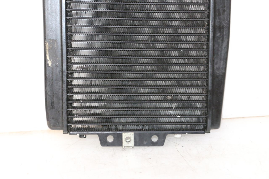 photo de RADIADOR PIAGGIO MP3 LT 300 (2010 - 2016) - Vista do produto