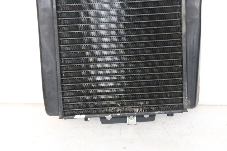 photo de RADIADOR PIAGGIO MP3 LT 300 (2010 - 2016) - Vista de perto