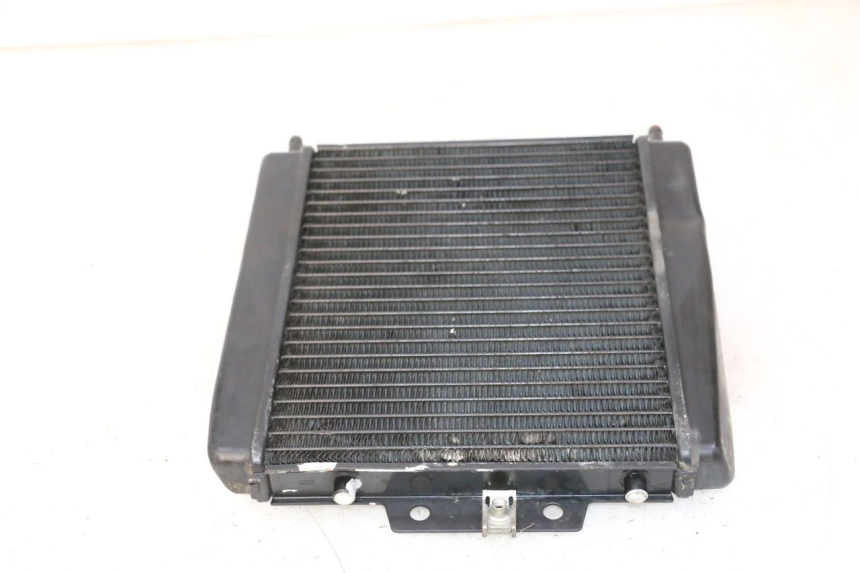 photo de RADIADOR PIAGGIO MP3 LT 300 (2010 - 2016) - Estado da superfície