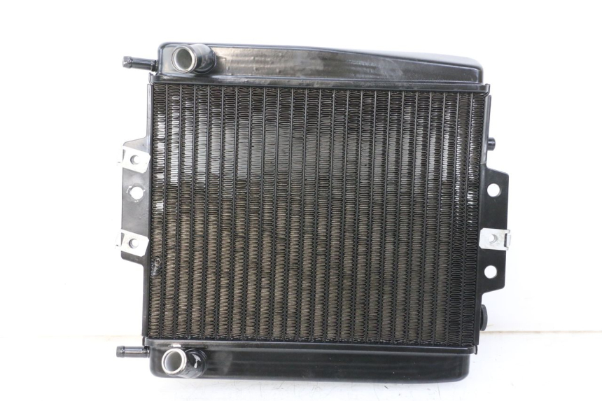 photo de RADIADOR PIAGGIO MP3 500 (2014 - 2017) - Estado da superfície