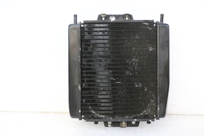 photo de RADIADOR PIAGGIO MP3 RL 250 (2006 - 2010) - Vista principal