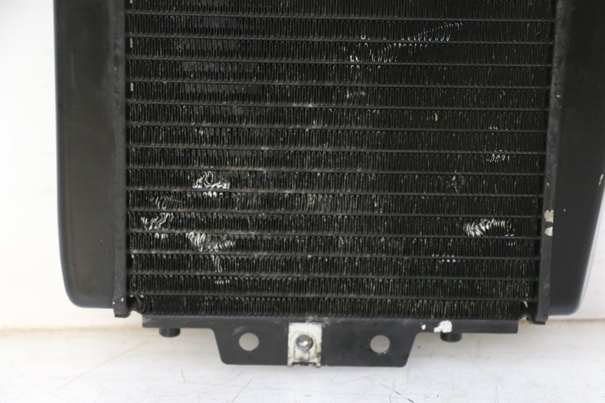 photo de RADIADOR PIAGGIO MP3 RL 250 (2006 - 2010) - Ampliação dos componentes