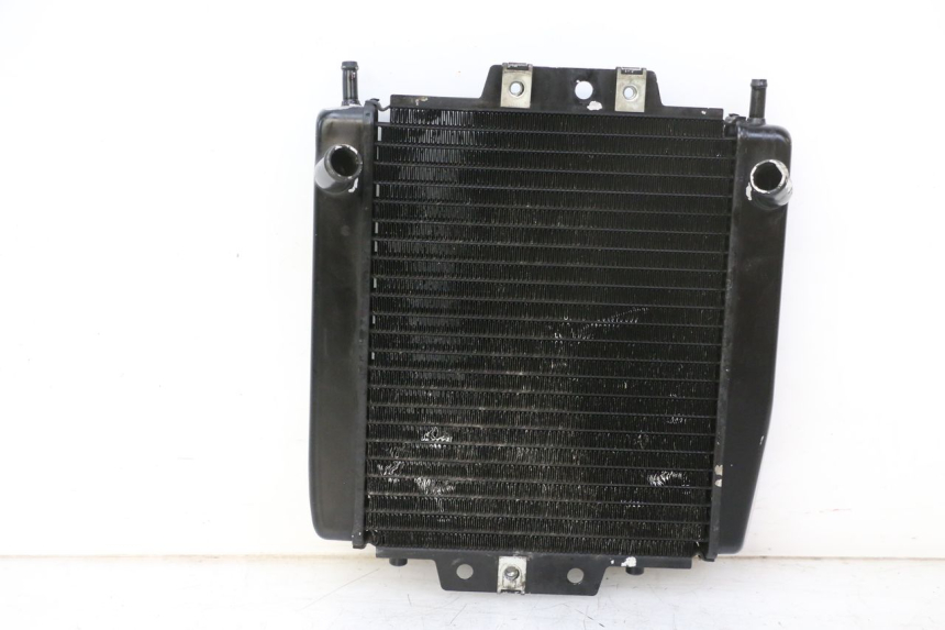 photo de RADIADOR PIAGGIO MP3 RL 250 (2006 - 2010) - Imagem adicional
