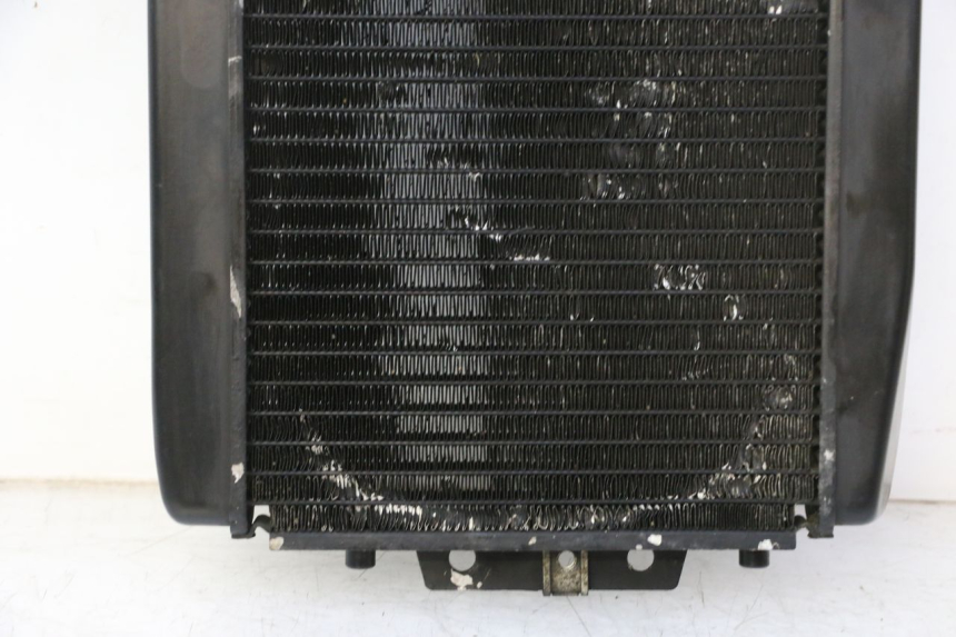 photo de RADIADOR PIAGGIO MP3 RL 250 (2006 - 2010) - Inspeção visual