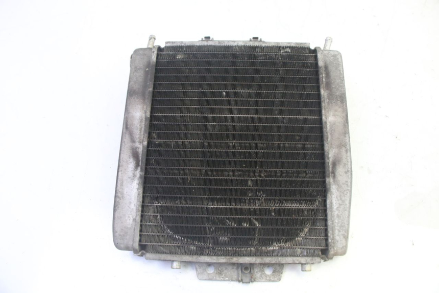 photo de RADIADOR PIAGGIO MP3 125 (2006 - 2014) - Vista principal