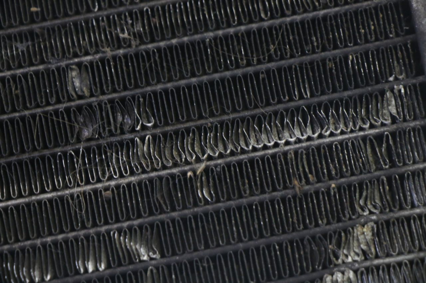 photo de RADIADOR PIAGGIO MP3 125 (2006 - 2014) - Ampliação técnica