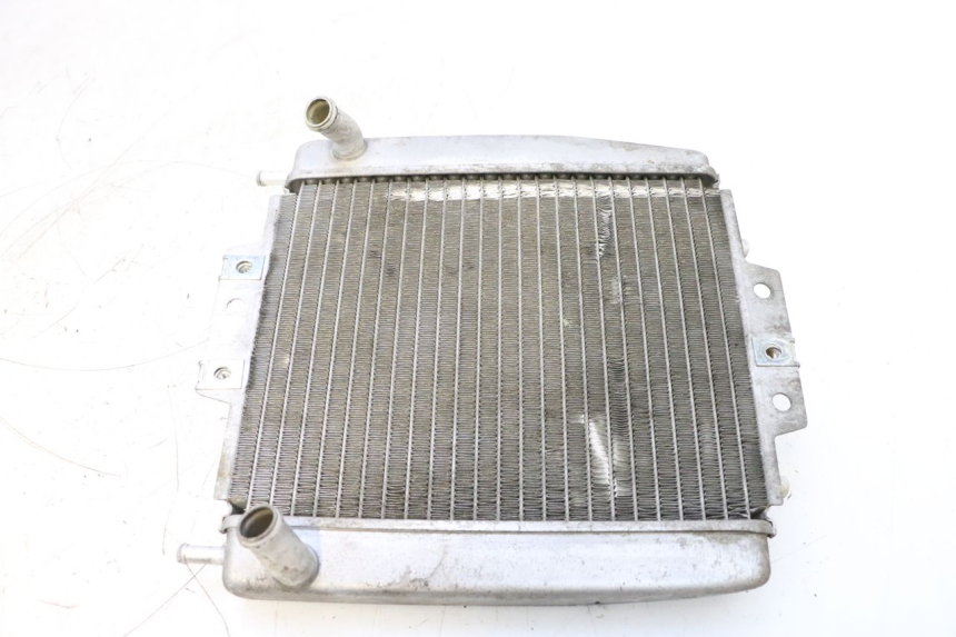 photo de RADIADOR PIAGGIO MP3 125 (2006 - 2014) - Vista principal