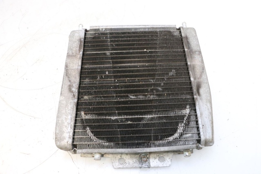 photo de RADIADOR PIAGGIO MP3 125 (2006 - 2014) - Vista geral