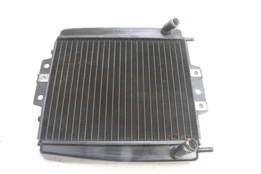 photo de RADIADOR PIAGGIO MP3 500 (2016 - 2018) - Vista principal