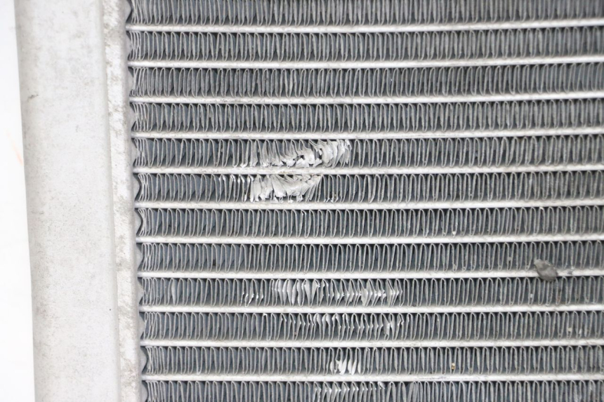 photo de RADIADOR GILERA NEXUS 125 (2009 - 2013) - Ampliação dos componentes