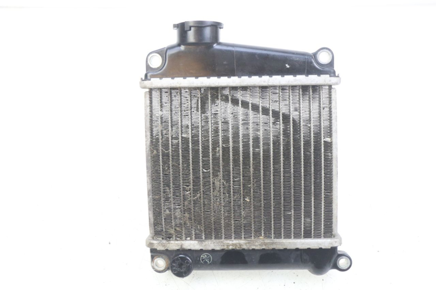 photo de RADIADOR HONDA NHX LEAD 110 (2008 - 2010) - Detalhe da peça